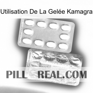 Utilisation De La Gelée Kamagra new12